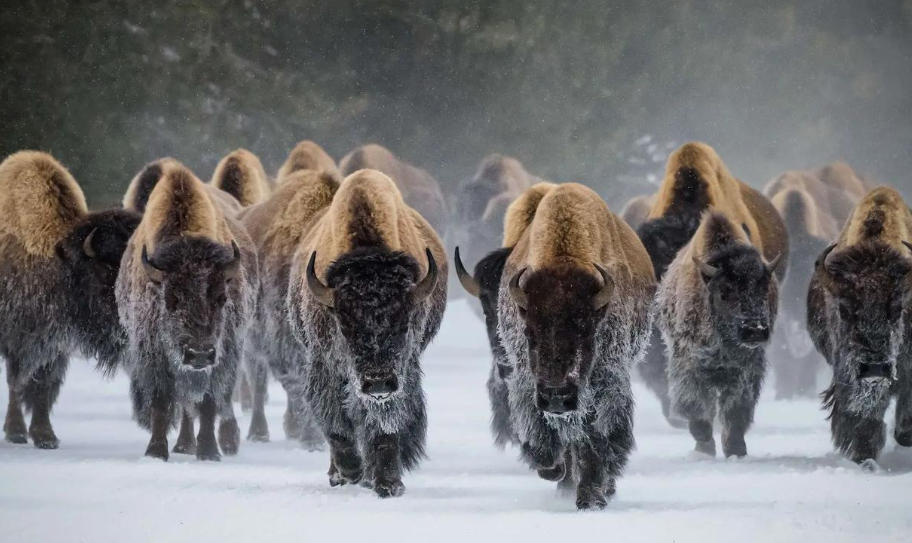 上海泽宇智能科技有限公司轮播图1